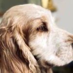 Blog Post Template copy 12