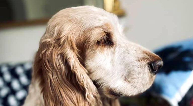 Blog Post Template copy 12