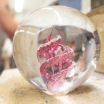 Blog post 21.02.2026 1